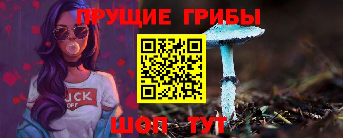 Псилоцибиновые грибы MAGIC MUSHROOMS  Вход с VPN  Новочеркасск 
